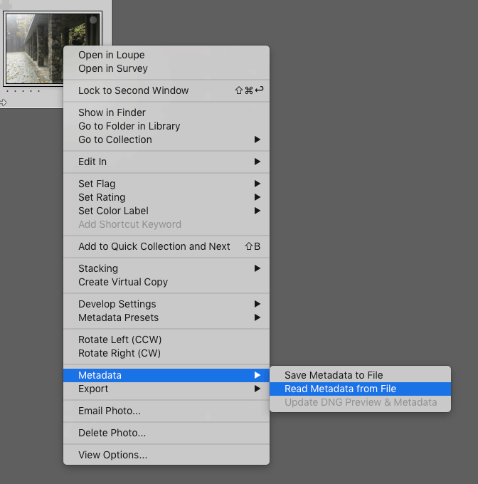 Refereshing metadata in Adobe Lightroom